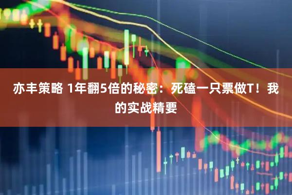 亦丰策略 1年翻5倍的秘密：死磕一只票做T！我的实战精要