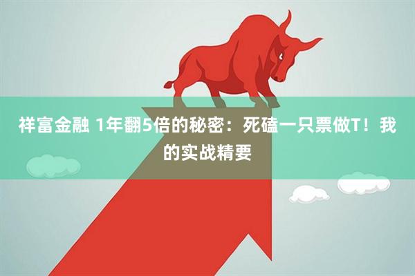 祥富金融 1年翻5倍的秘密：死磕一只票做T！我的实战精要