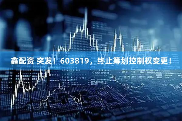 鑫配资 突发！603819，终止筹划控制权变更！