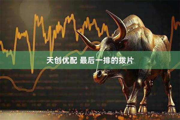 天创优配 最后一排的拨片