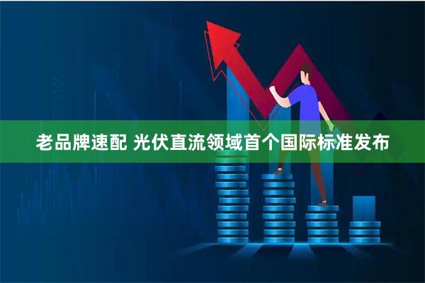 老品牌速配 光伏直流领域首个国际标准发布