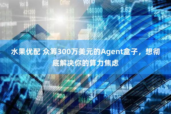 水果优配 众筹300万美元的Agent盒子，想彻底解决你的算力焦虑